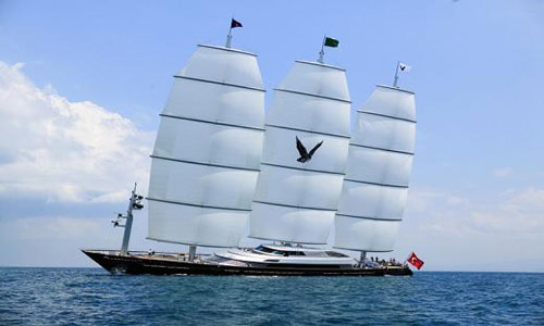 Италия - Аренда яхт - Maltese Falcon
