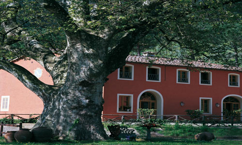 Италия - Аренда вилл - Casa Matteucci, Coselli Collection